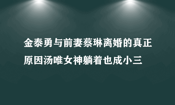 金泰勇与前妻蔡琳离婚的真正原因汤唯女神躺着也成小三