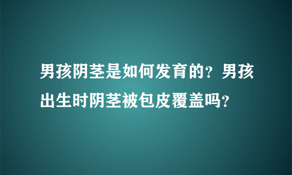 男孩阴茎是如何发育的？男孩出生时阴茎被包皮覆盖吗？