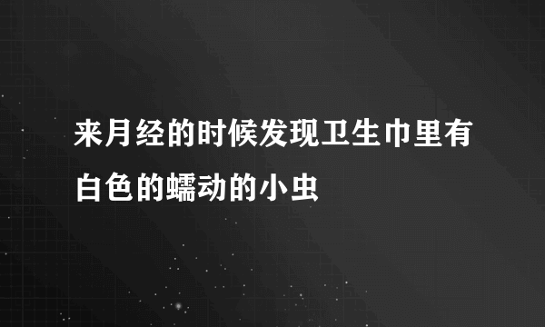 来月经的时候发现卫生巾里有白色的蠕动的小虫