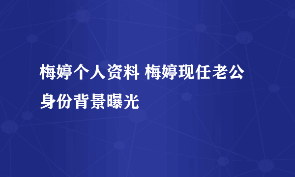 梅婷个人资料 梅婷现任老公身份背景曝光