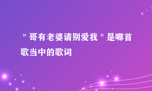 ＂哥有老婆请别爱我＂是哪首歌当中的歌词