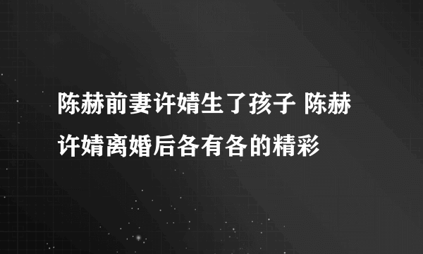 陈赫前妻许婧生了孩子 陈赫许婧离婚后各有各的精彩