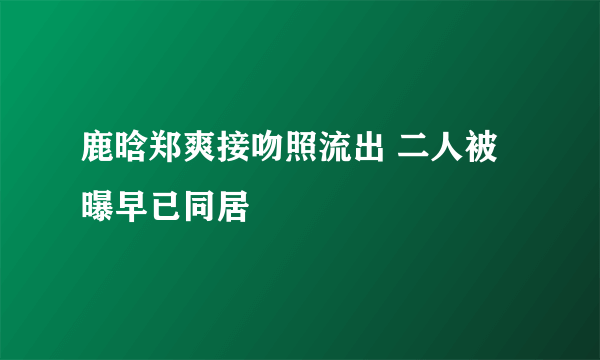 鹿晗郑爽接吻照流出 二人被曝早已同居