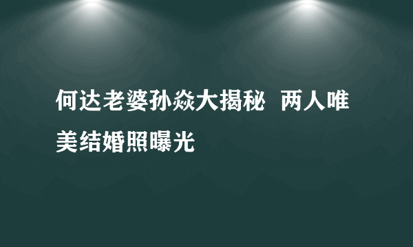 何达老婆孙焱大揭秘  两人唯美结婚照曝光