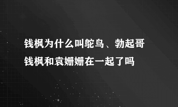 钱枫为什么叫鸵鸟、勃起哥 钱枫和袁姗姗在一起了吗