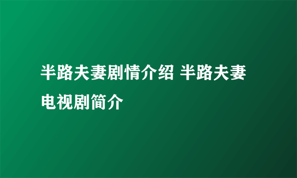 半路夫妻剧情介绍 半路夫妻电视剧简介