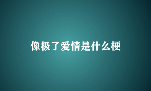 像极了爱情是什么梗