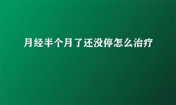 月经半个月了还没停怎么治疗