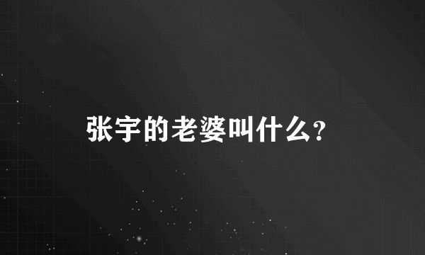 张宇的老婆叫什么？