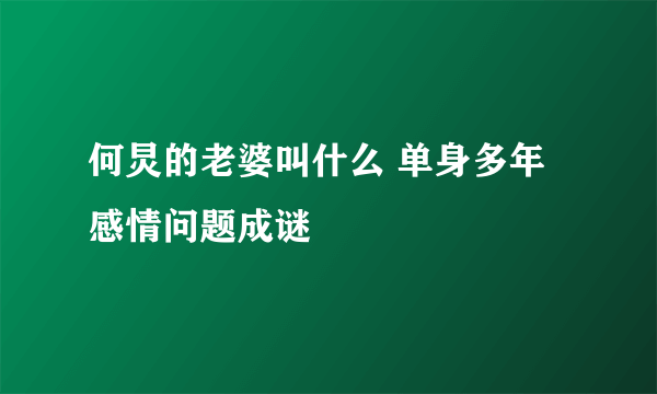 何炅的老婆叫什么 单身多年感情问题成谜