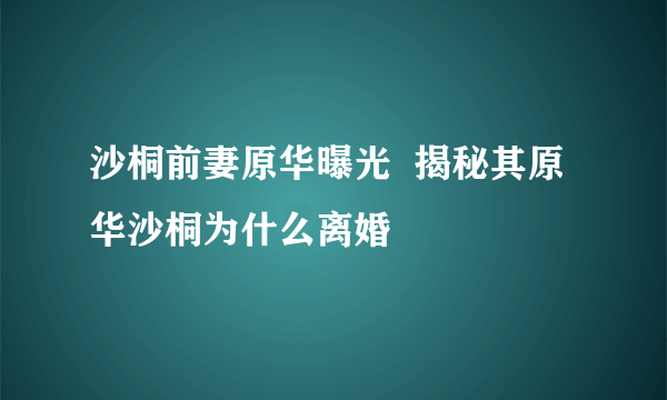 沙桐前妻原华曝光  揭秘其原华沙桐为什么离婚