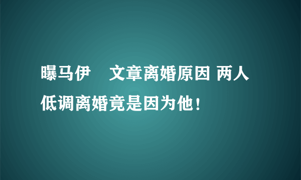 曝马伊琍文章离婚原因 两人低调离婚竟是因为他！