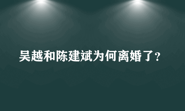 吴越和陈建斌为何离婚了？