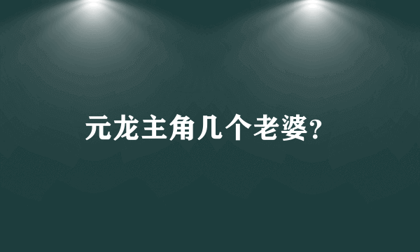 元龙主角几个老婆？