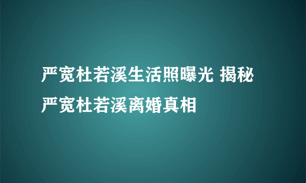 严宽杜若溪生活照曝光 揭秘严宽杜若溪离婚真相