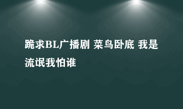 跪求BL广播剧 菜鸟卧底 我是流氓我怕谁