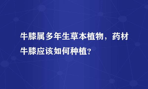 牛膝属多年生草本植物，药材牛膝应该如何种植？