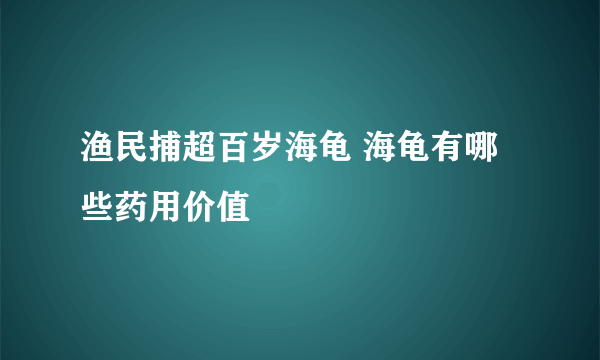 渔民捕超百岁海龟 海龟有哪些药用价值