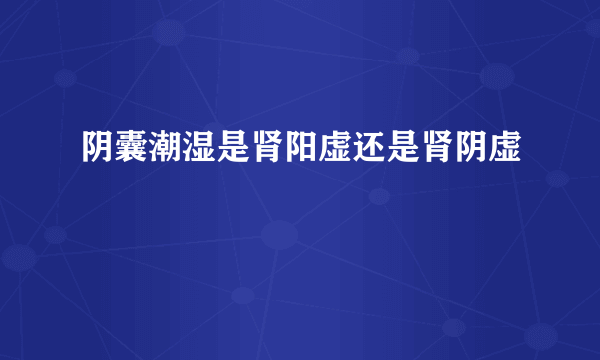 阴囊潮湿是肾阳虚还是肾阴虚