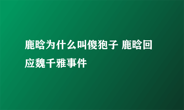 鹿晗为什么叫傻狍子 鹿晗回应魏千雅事件