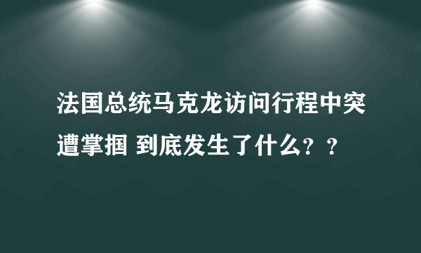 法国总统马克龙访问行程中突遭掌掴 到底发生了什么？？