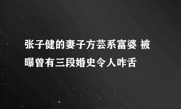 张子健的妻子方芸系富婆 被曝曾有三段婚史令人咋舌