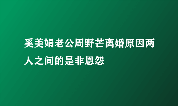 奚美娟老公周野芒离婚原因两人之间的是非恩怨