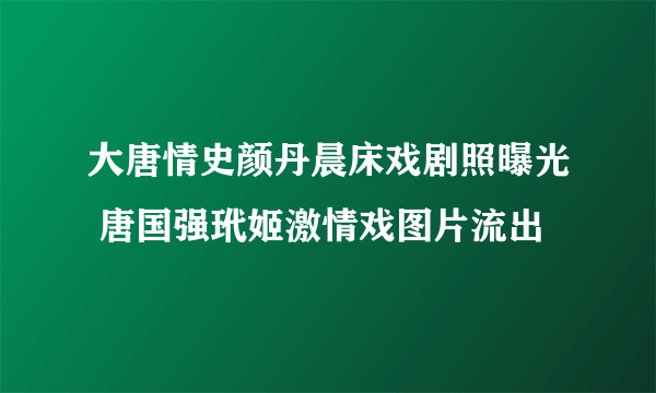 大唐情史颜丹晨床戏剧照曝光 唐国强玳姬激情戏图片流出