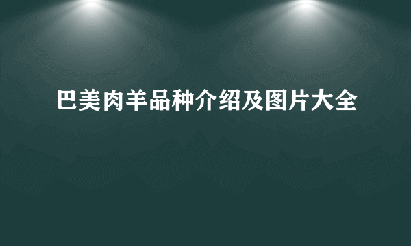 巴美肉羊品种介绍及图片大全