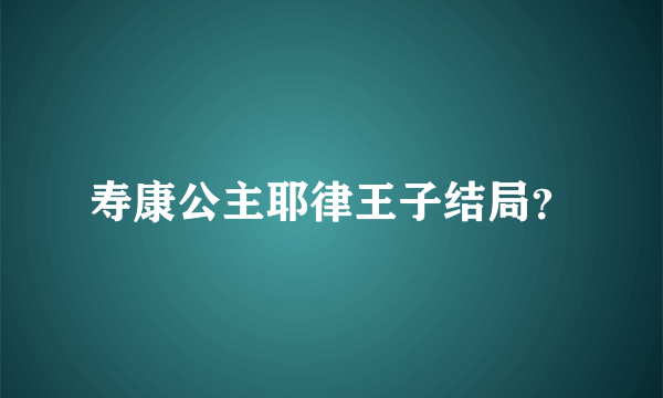 寿康公主耶律王子结局？