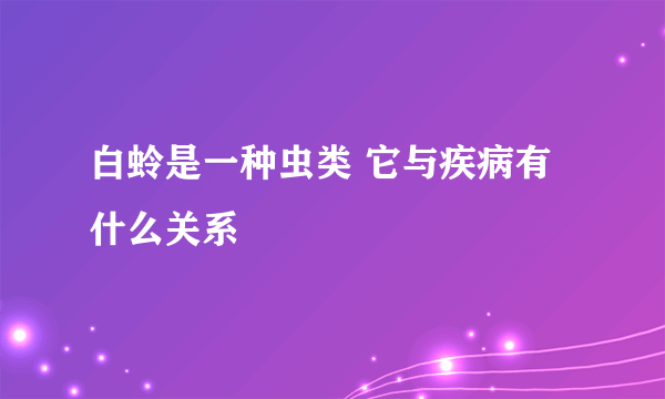 白蛉是一种虫类 它与疾病有什么关系