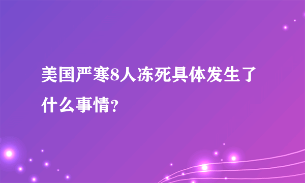 美国严寒8人冻死具体发生了什么事情？