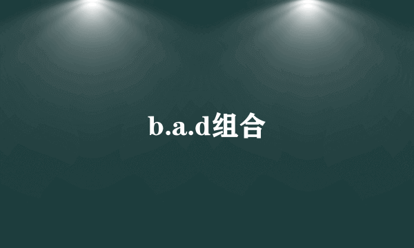 b.a.d组合