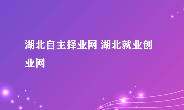 湖北自主择业网 湖北就业创业网