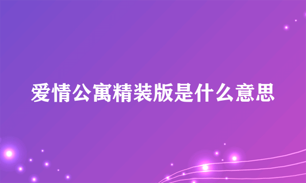 爱情公寓精装版是什么意思