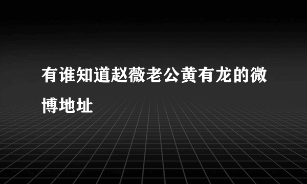 有谁知道赵薇老公黄有龙的微博地址