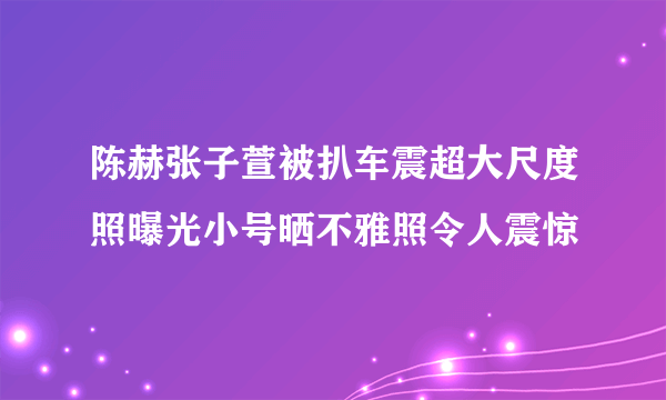 陈赫张子萱被扒车震超大尺度照曝光小号晒不雅照令人震惊