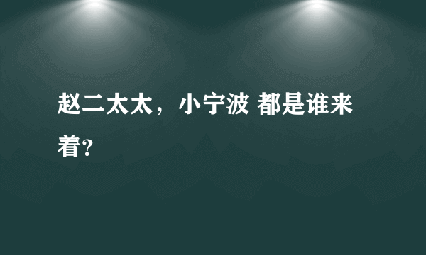 赵二太太，小宁波 都是谁来着？