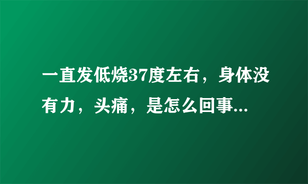 一直发低烧37度左右，身体没有力，头痛，是怎么回事，应该怎么医？