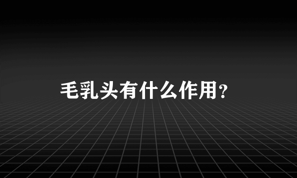 毛乳头有什么作用？