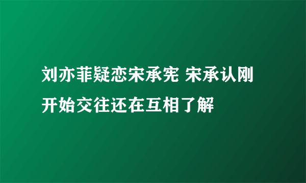 刘亦菲疑恋宋承宪 宋承认刚开始交往还在互相了解