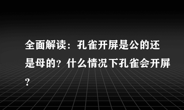 全面解读：孔雀开屏是公的还是母的？什么情况下孔雀会开屏？