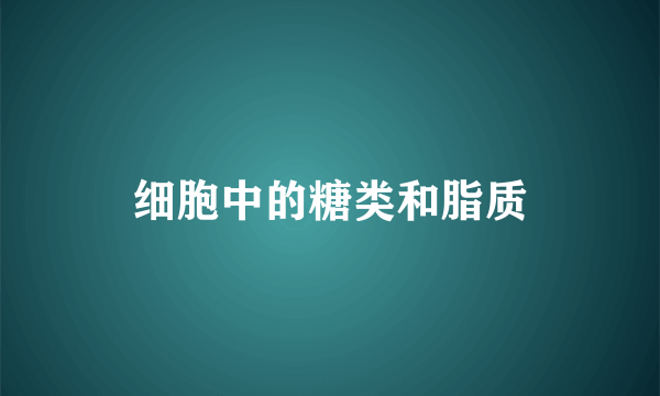 细胞中的糖类和脂质