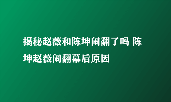 揭秘赵薇和陈坤闹翻了吗 陈坤赵薇闹翻幕后原因