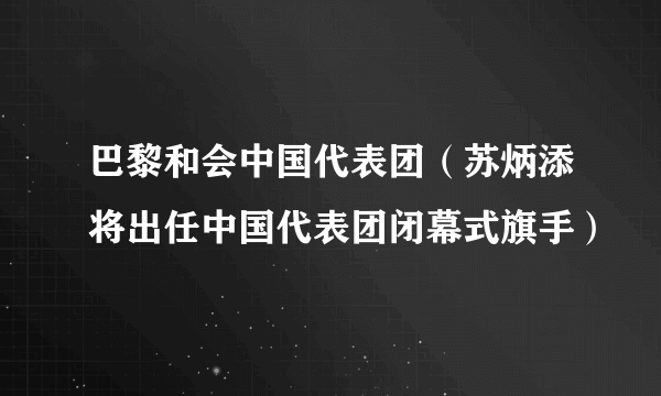 巴黎和会中国代表团（苏炳添将出任中国代表团闭幕式旗手）