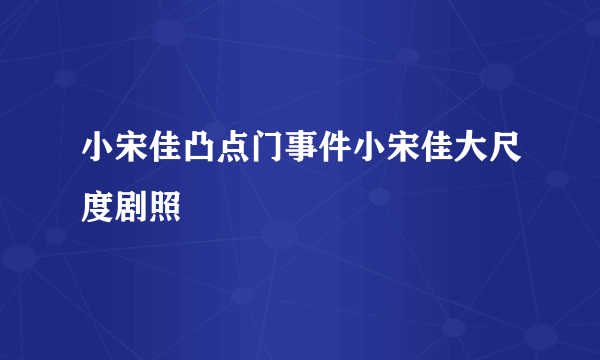 小宋佳凸点门事件小宋佳大尺度剧照