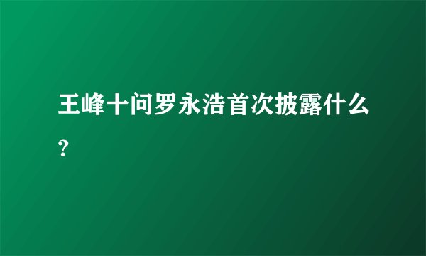 王峰十问罗永浩首次披露什么？