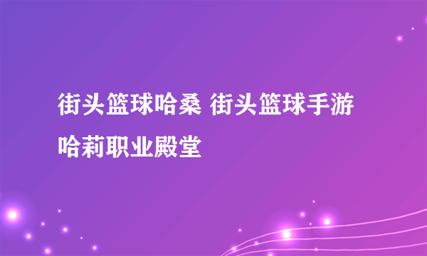 街头篮球哈桑 街头篮球手游哈莉职业殿堂