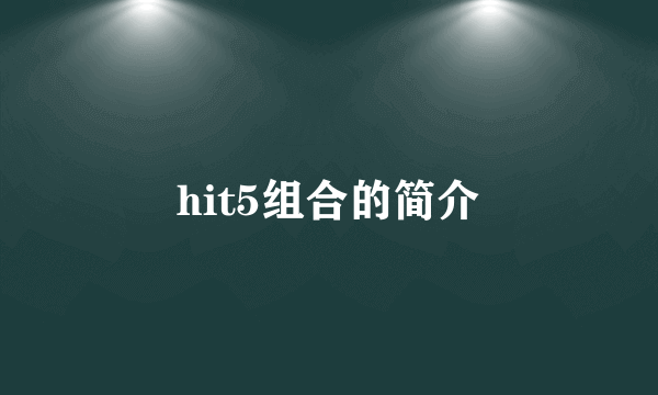 hit5组合的简介