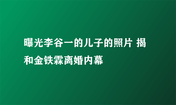 曝光李谷一的儿子的照片 揭和金铁霖离婚内幕